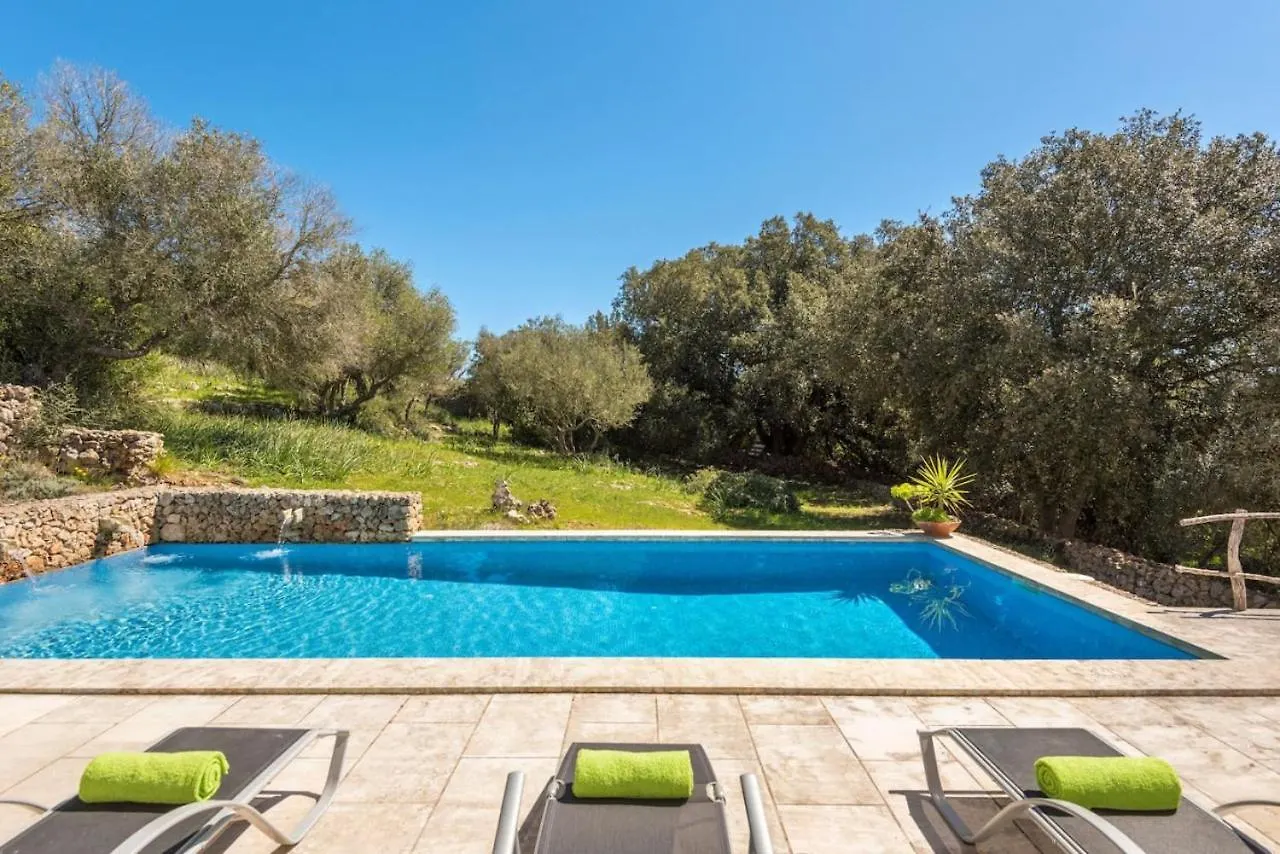 אלאיור Finca Ses Curtanetas