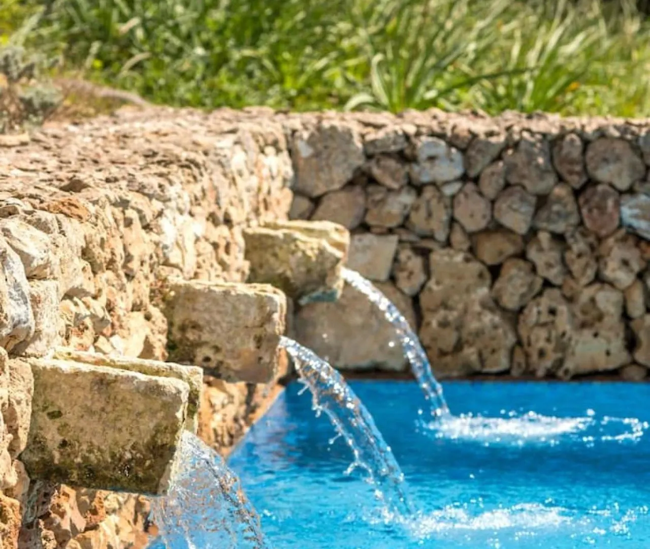 אלאיור Finca Ses Curtanetas