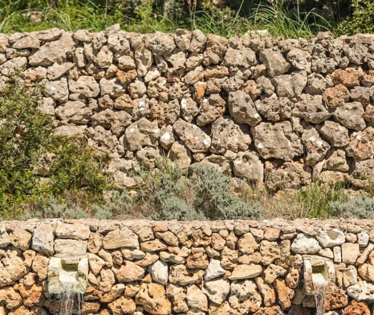 וילה אלאיור Finca Ses Curtanetas